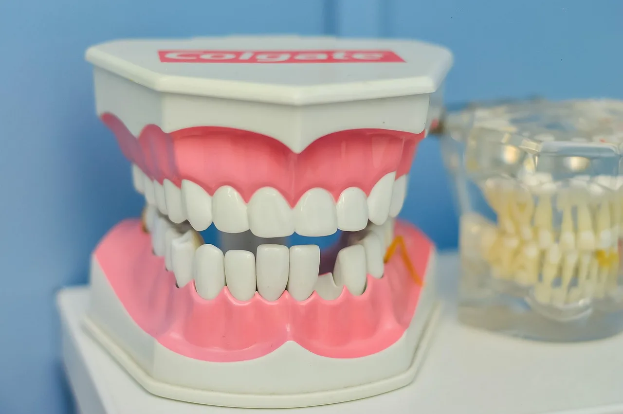 mouth, teeth, macromodel, dentist, teeth, dentist, dentist, dentist, dentist, dentist. Dental marketing strategy development, one decision at a time