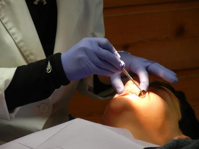 orthodontist, dentist, braces, dental, dentistry, mouth, orthodontic, medical, hygiene, tooth, teeth, medicine, treatment, health, healthcare, dentist, dentist, dentist, dentist, dentist, dental, dental, dentistry, tooth. Before you act on dental SEO trends (2027 update)